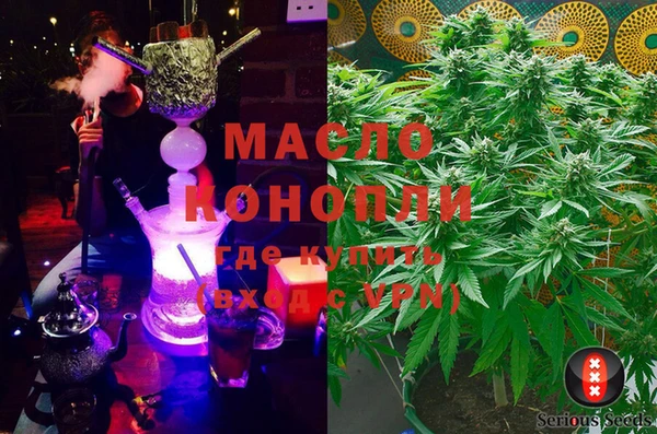 прущие грибы Михайлов
