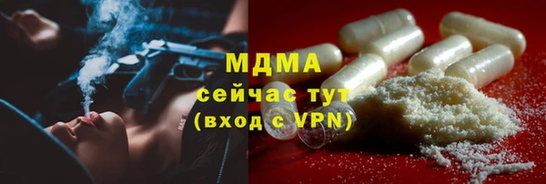 прущие грибы Михайлов