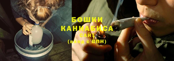 шишки Михайловка