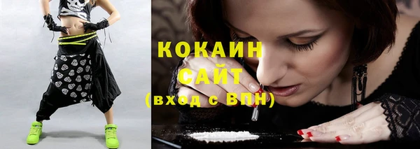 прущие грибы Михайлов