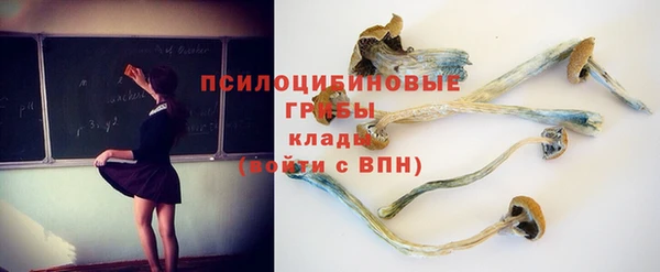 шишки Михайловка