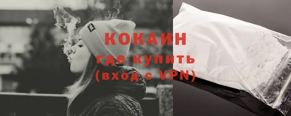 прущие грибы Михайлов