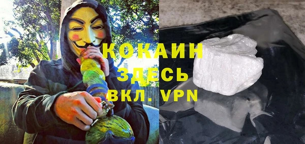 прущие грибы Михайлов