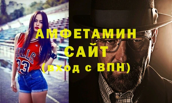 прущие грибы Михайлов