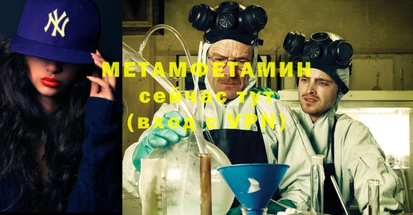 прущие грибы Михайлов