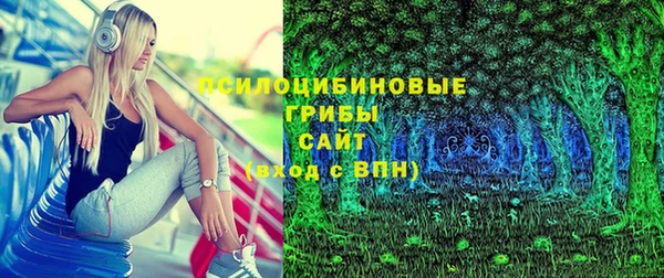 шишки Михайловка