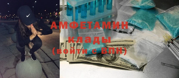 прущие грибы Михайлов