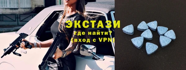 прущие грибы Михайлов