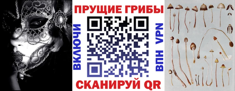 Галлюциногенные грибы Cubensis  Купить где  Сясьстрой 