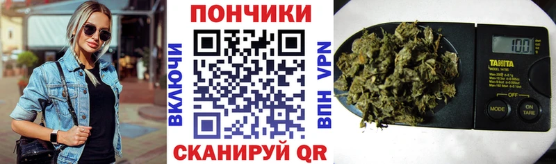 Канабис сатива  Купить  Сясьстрой 